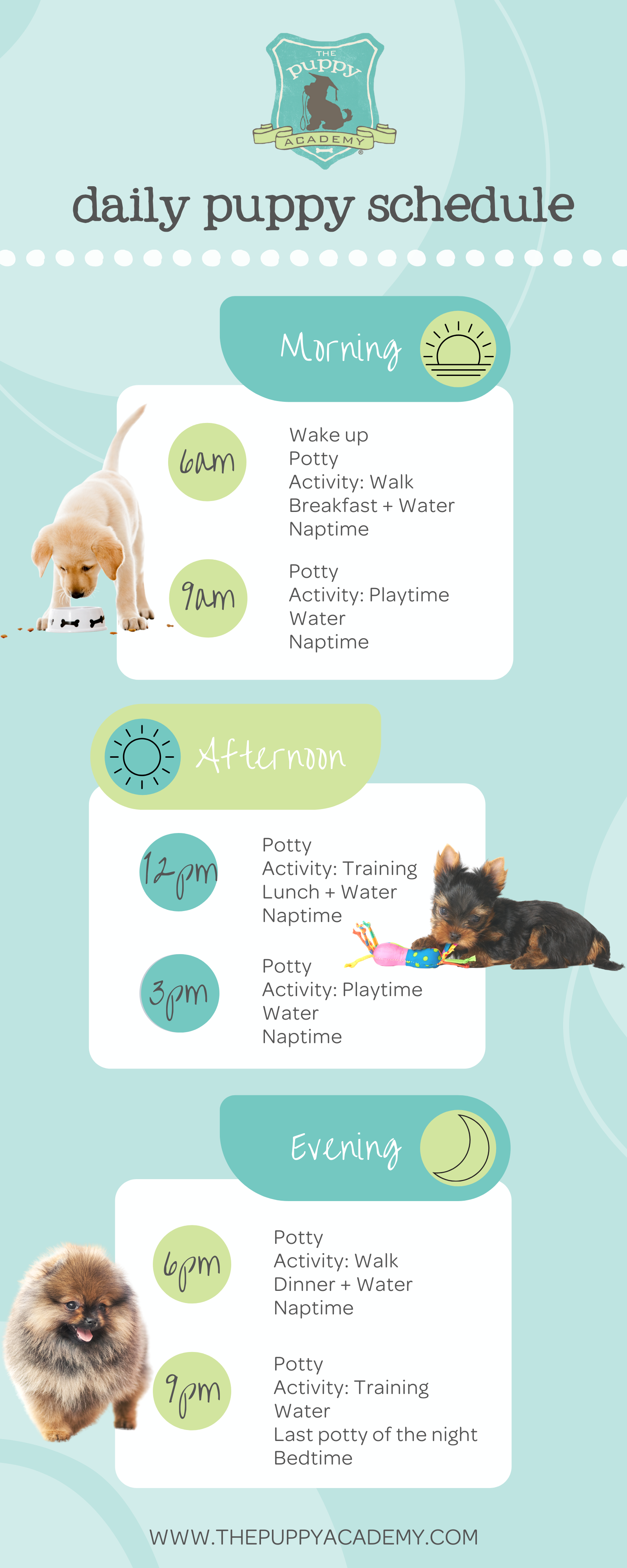 Printable Puppy Schedule Guidelines Daily New Dog Routine