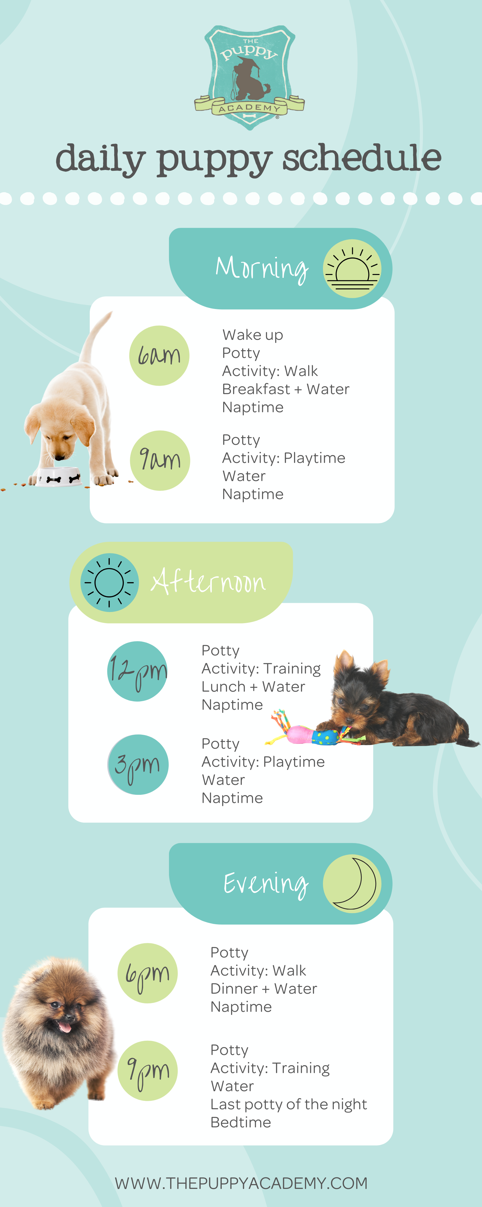 FREE Kids Daily Routine Chart