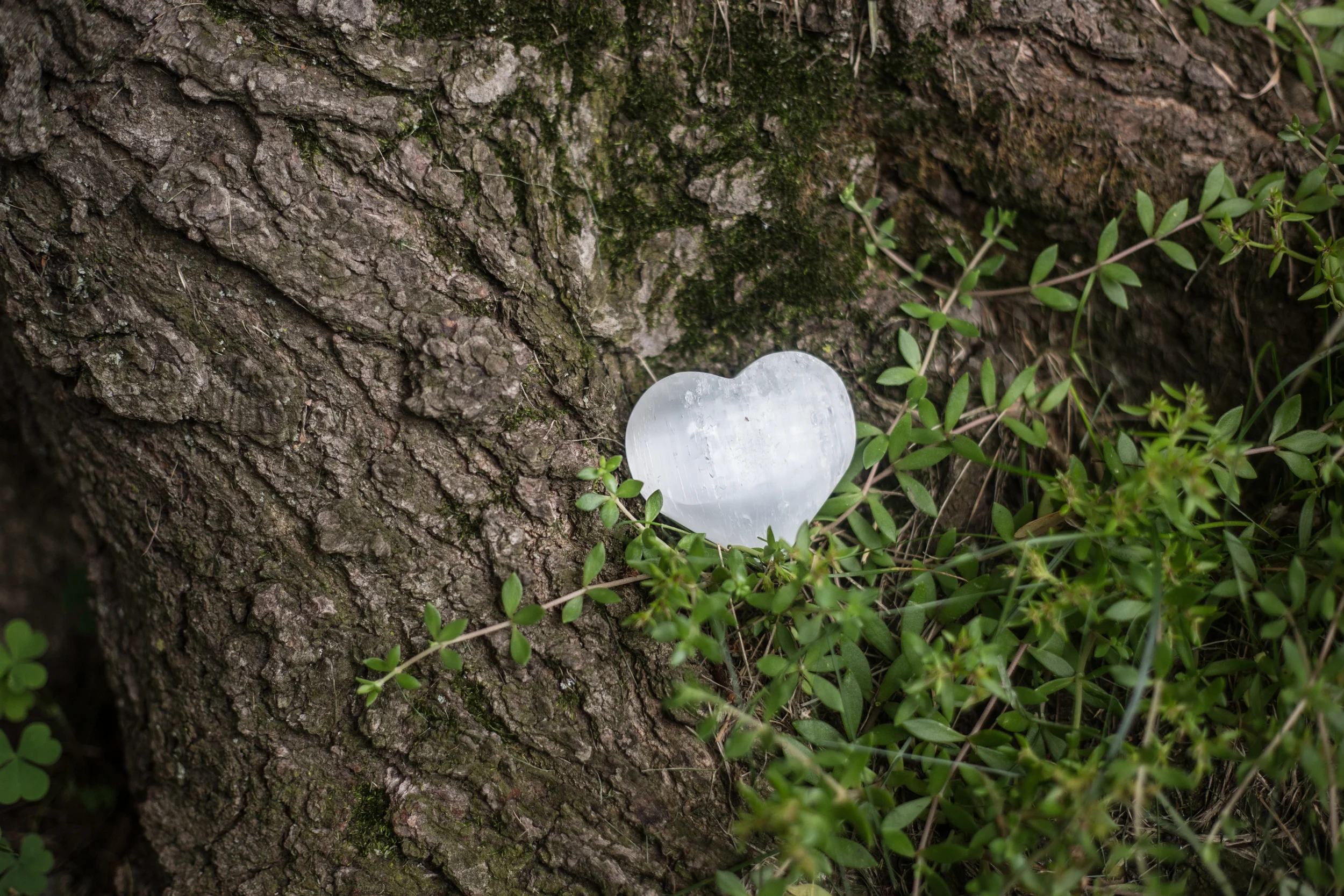 selenite heart.jpg