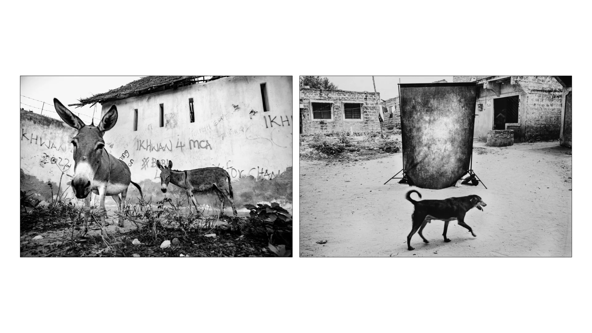 ITA TOL A New Story - Catalogo FOTO copia.017.jpeg