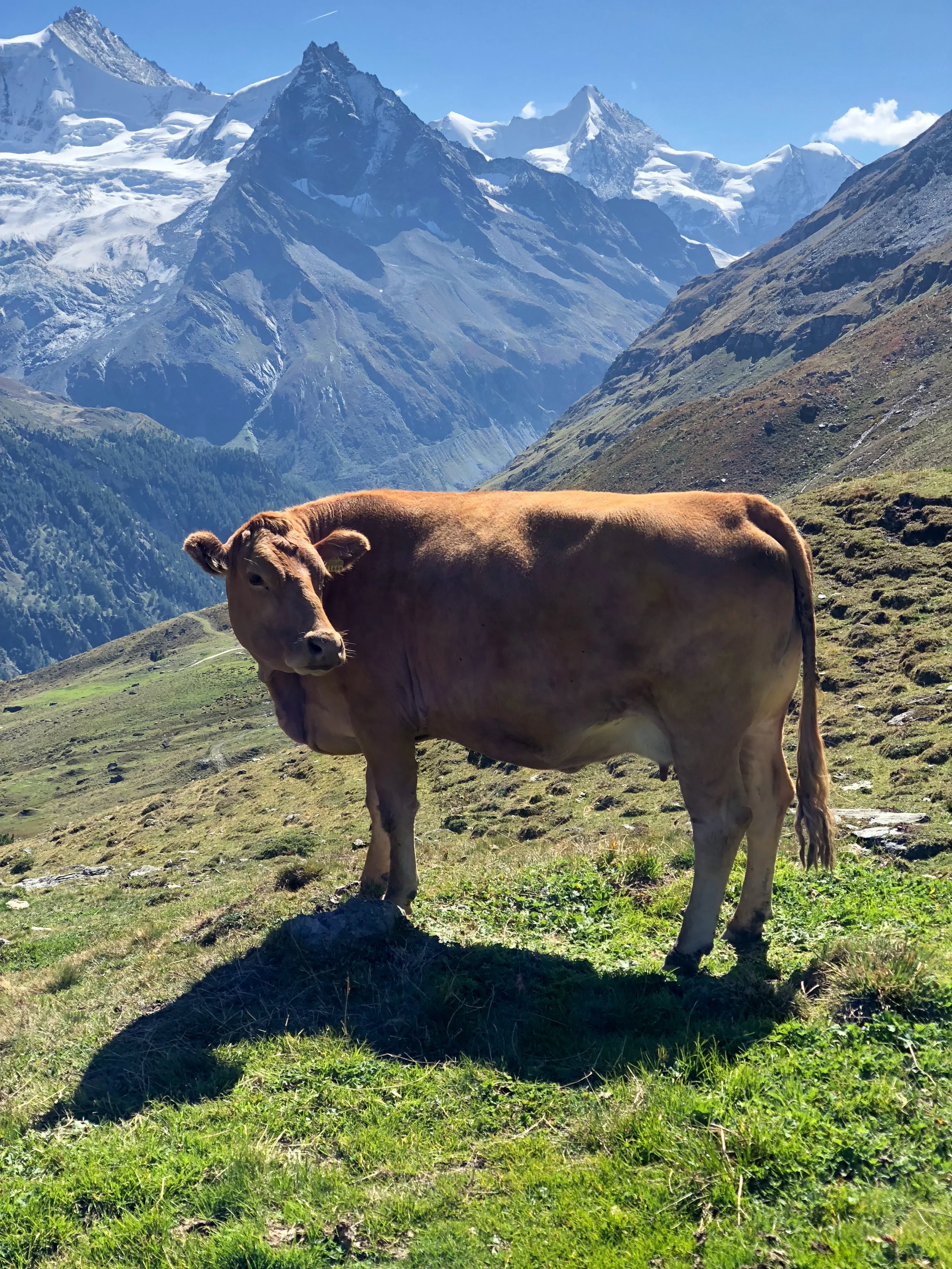 Leven_09Sep2018_8111.jpg