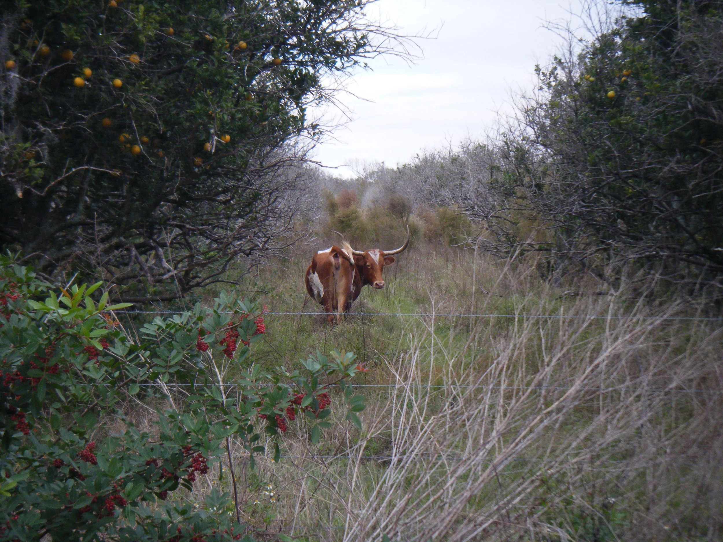 DSCF5266.JPG