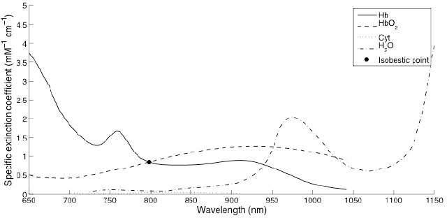 Fig-1-Absorption-spectra-for-deoxyhemoglobin-Hb-oxyhemoglobin-HbO-2-cytochrome-c.png