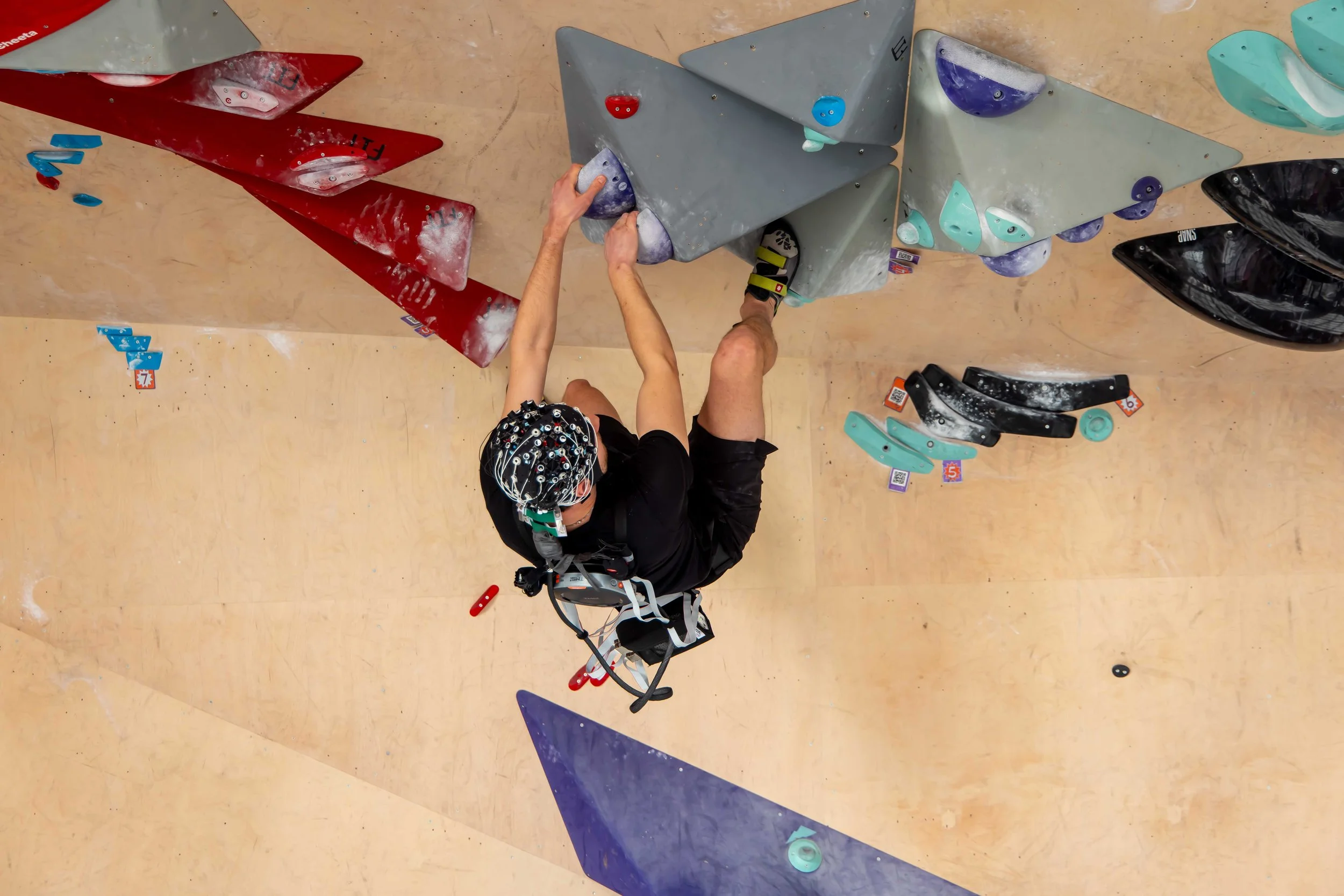 [NSP2 x SAGA x WINGS2] multimodal-22.jpg