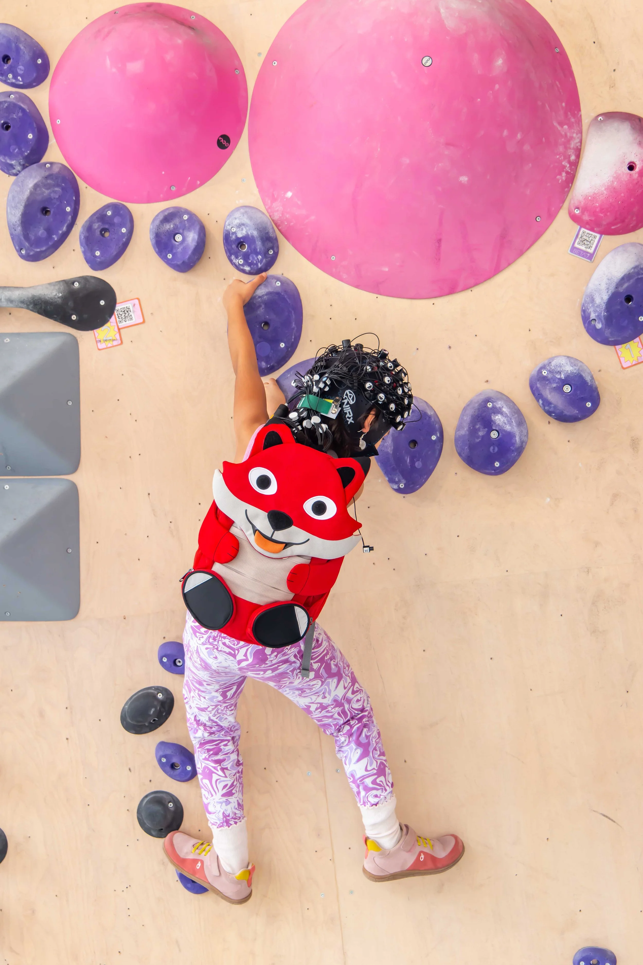 [NSP2 x SAGA x WINGS2] multimodal-29.jpg