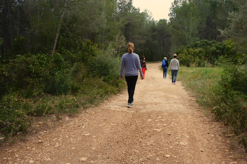 Learning to Walk Mindfully.