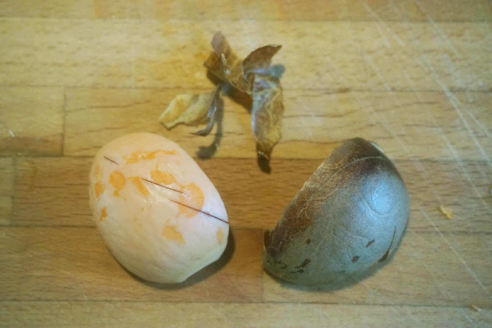 avocado4.jpg