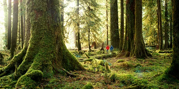 Photo: Edmund Lowe/Alamy