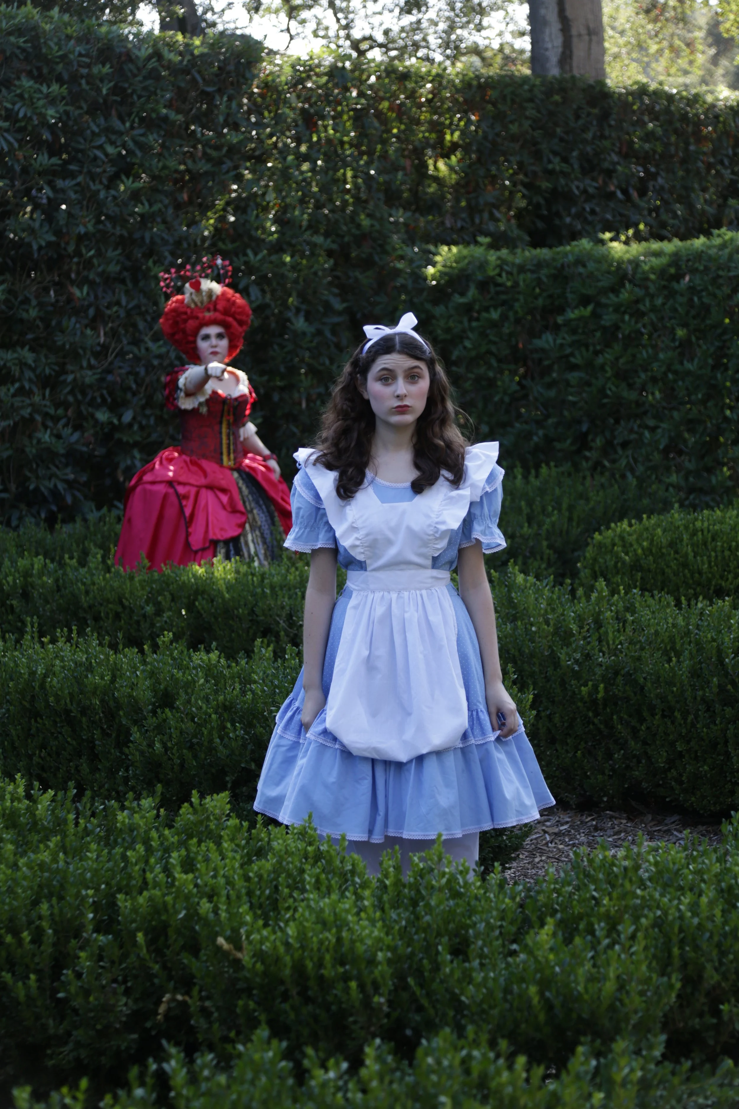 Alice in Wonderland