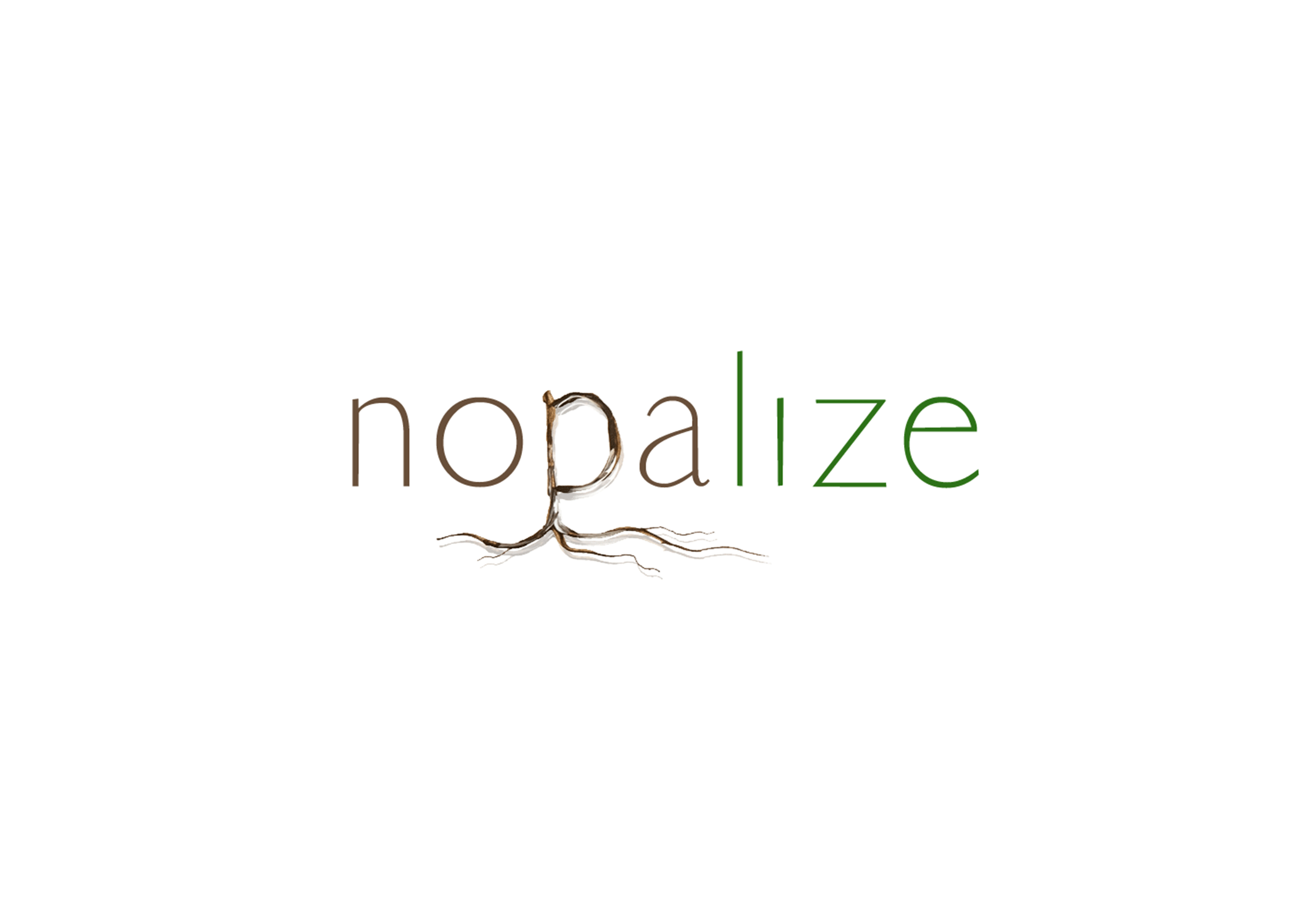 nopalize_logo.png
