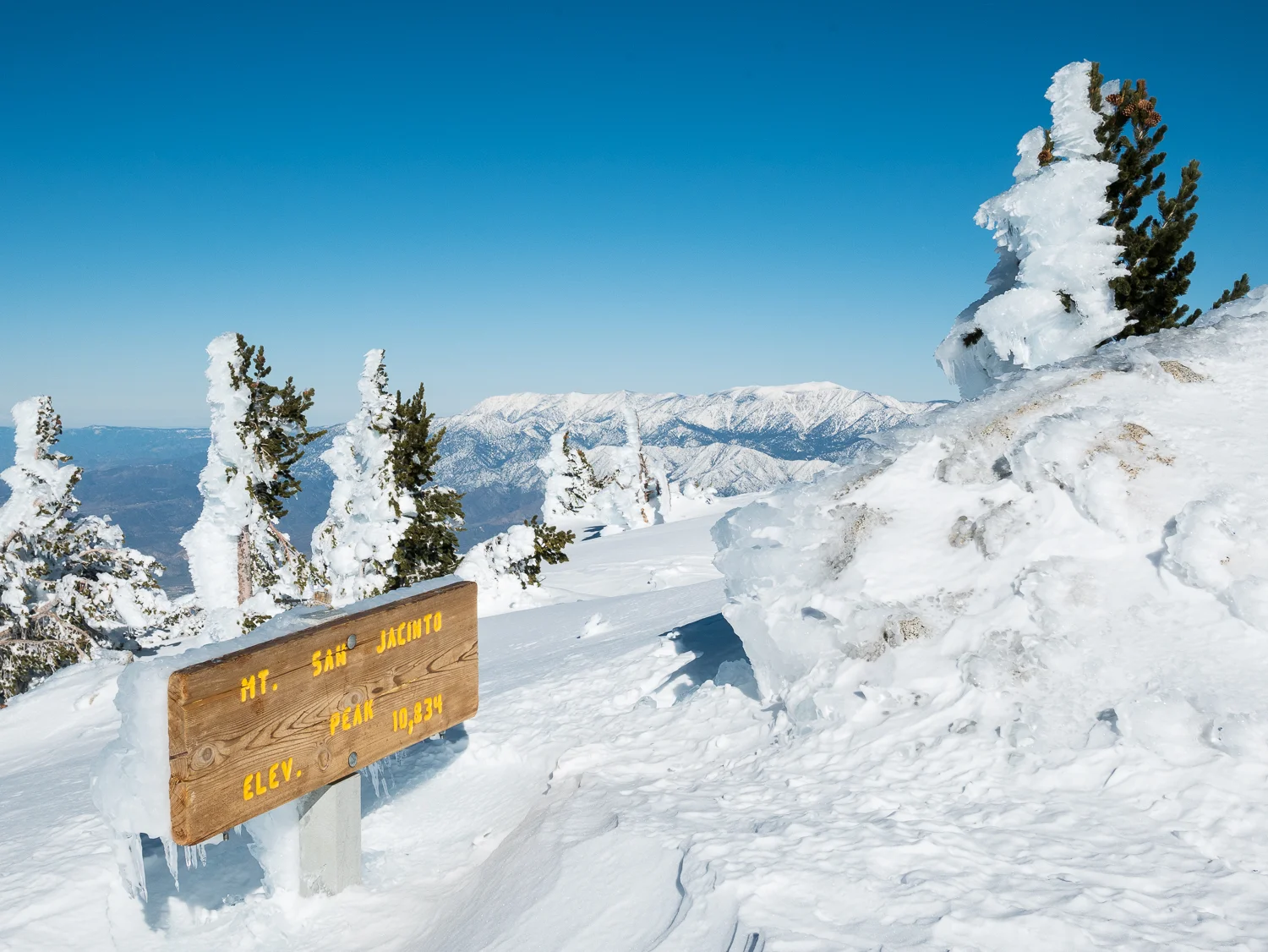 2017/01 San Jacinto State Park — Sayers Travelogues and Nature