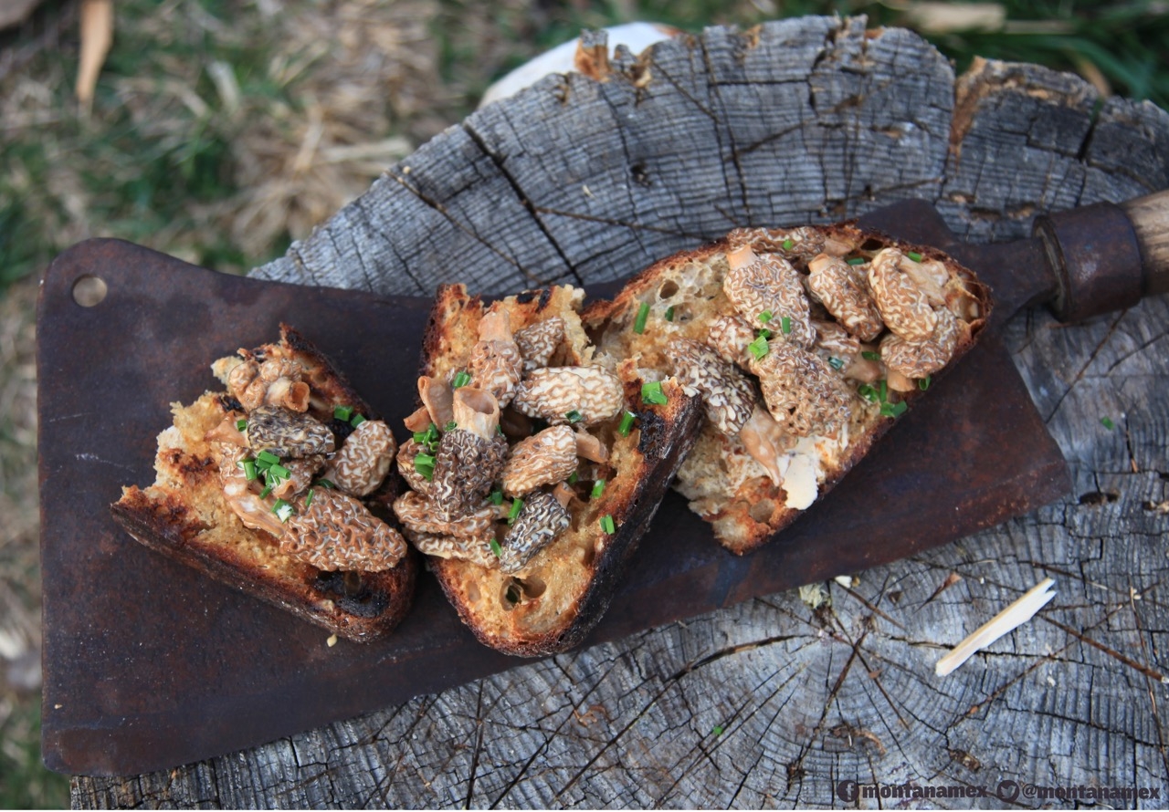 Morel Bruschetta