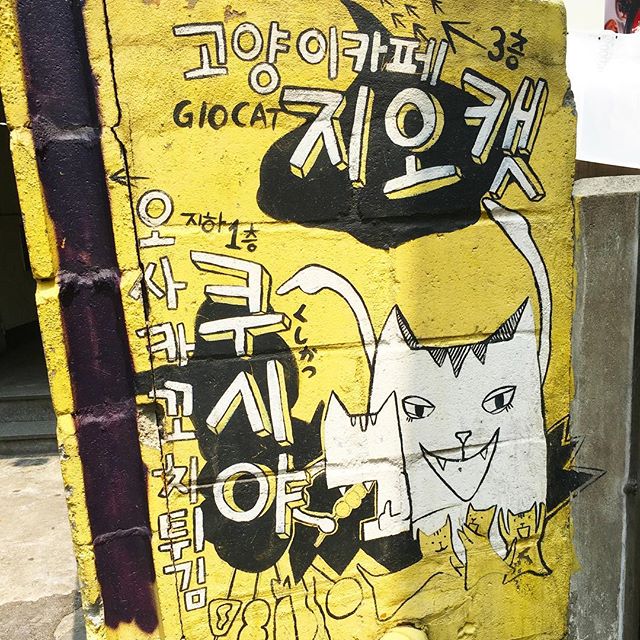 Cat street art in Hongdae #seoul