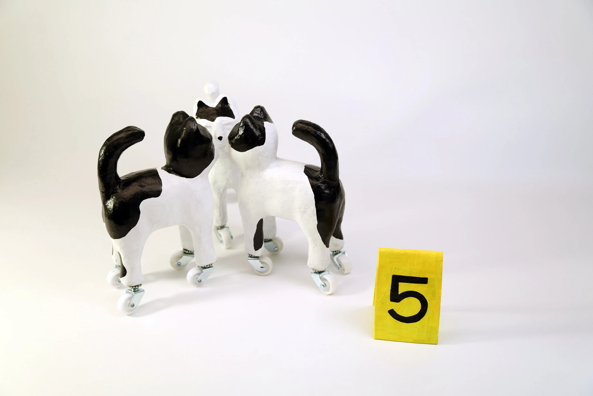 CAT MEETING