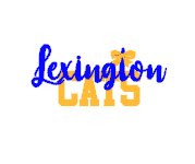 Lextington Bow White Princess Tee.png
