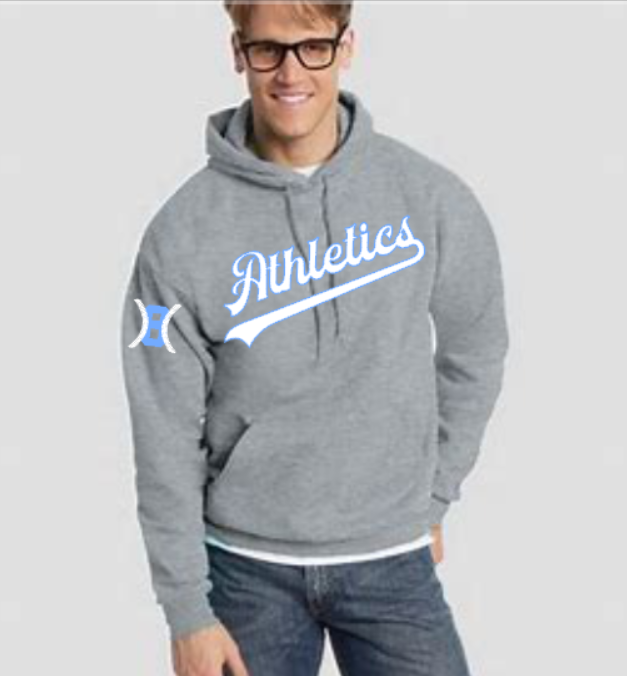 LA Pennant Hoodie Gray.png