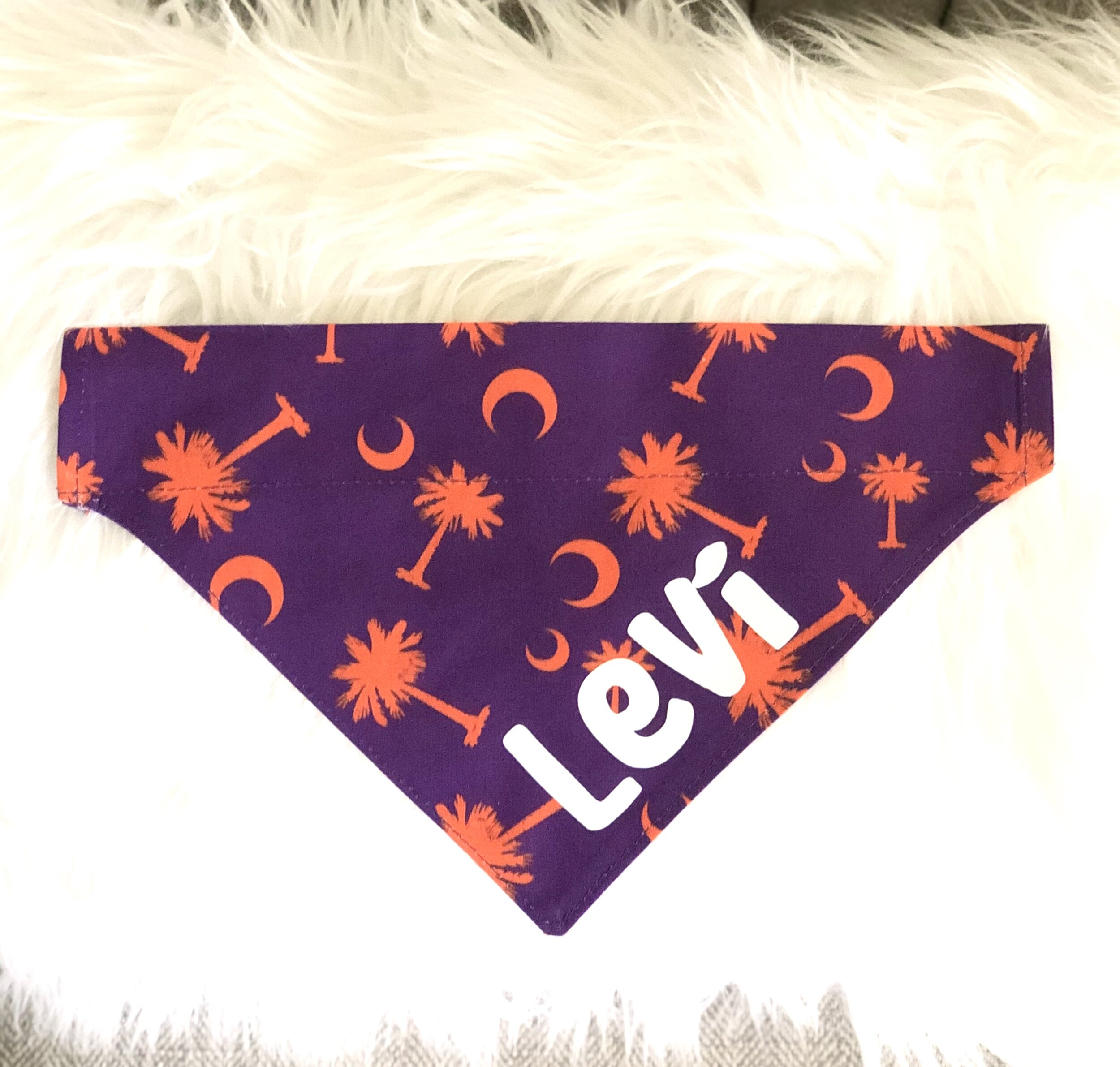 clemson scarf.jpg