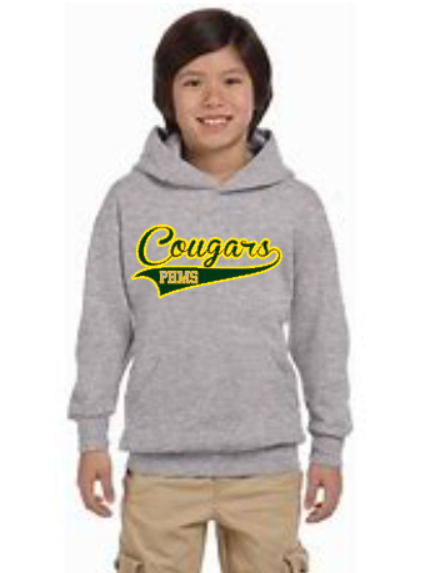 phms youth hoodie gray.png