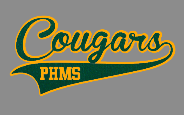 phms pennant green yellow.png