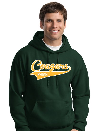 phms pennant hoodie green adult.png