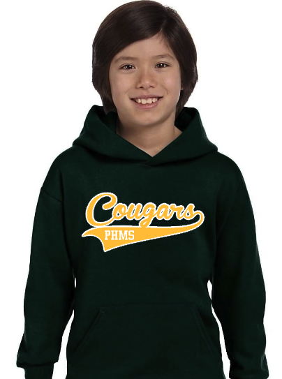 phms pennant hoodie green.png