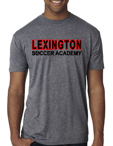 LSA ss tee gray.png