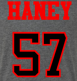 LSA ss tee gray back.png