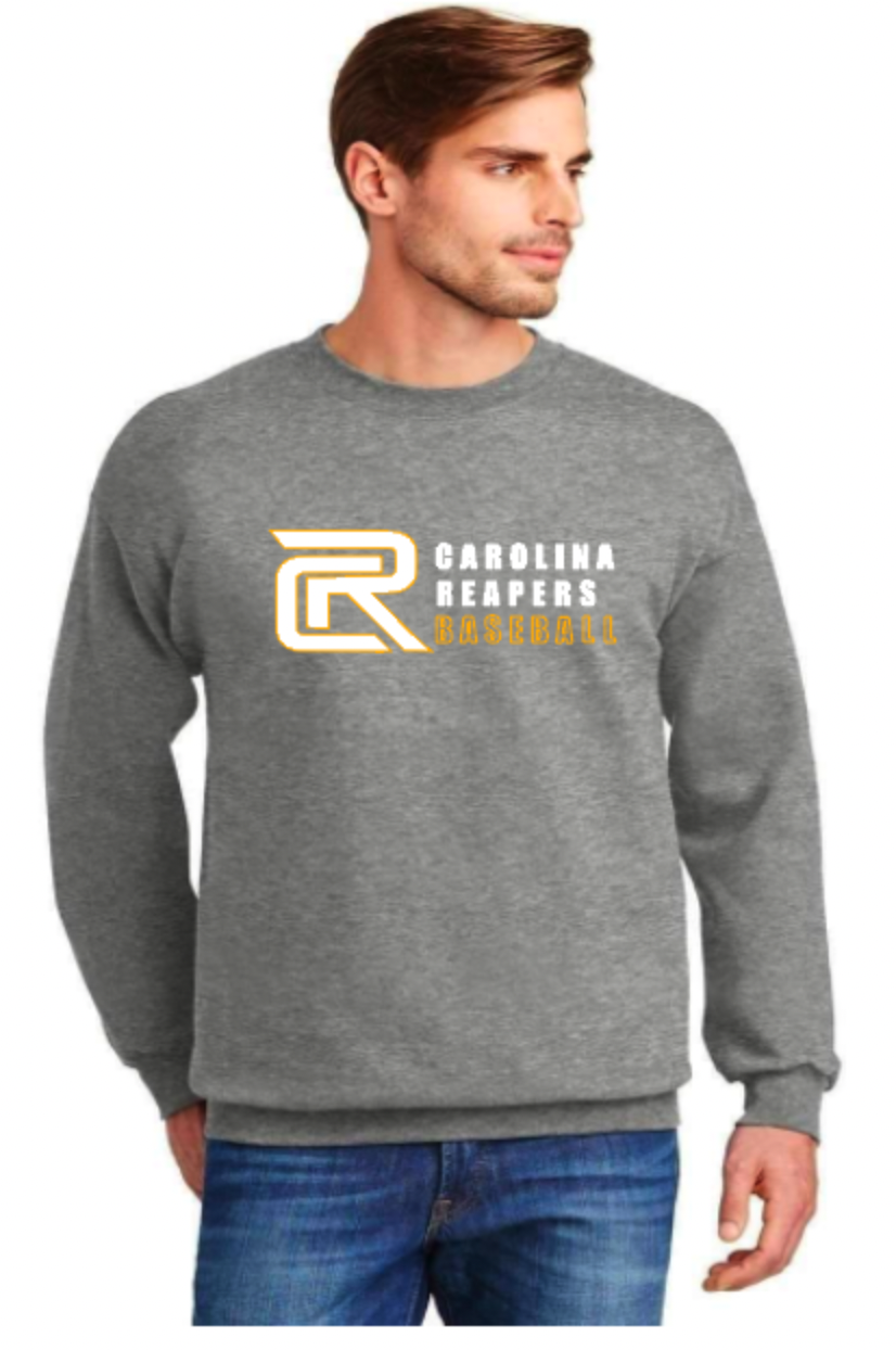 rapers full logo crew sweatshirt light steel.png