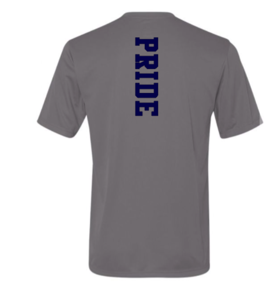 lions pride gray drifit back.png