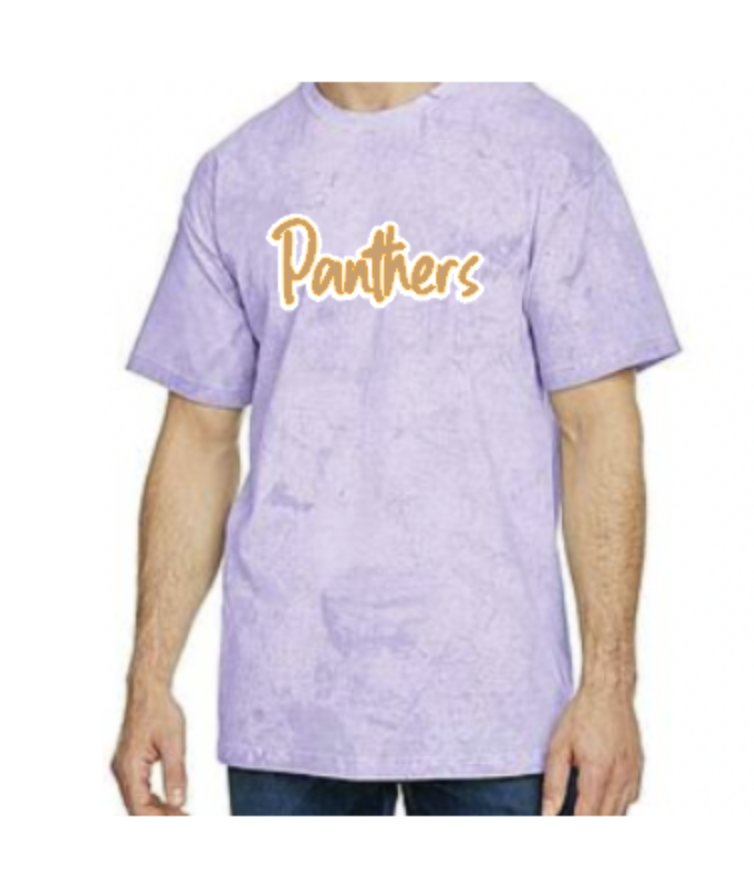 panthers color blast tee amythist.png