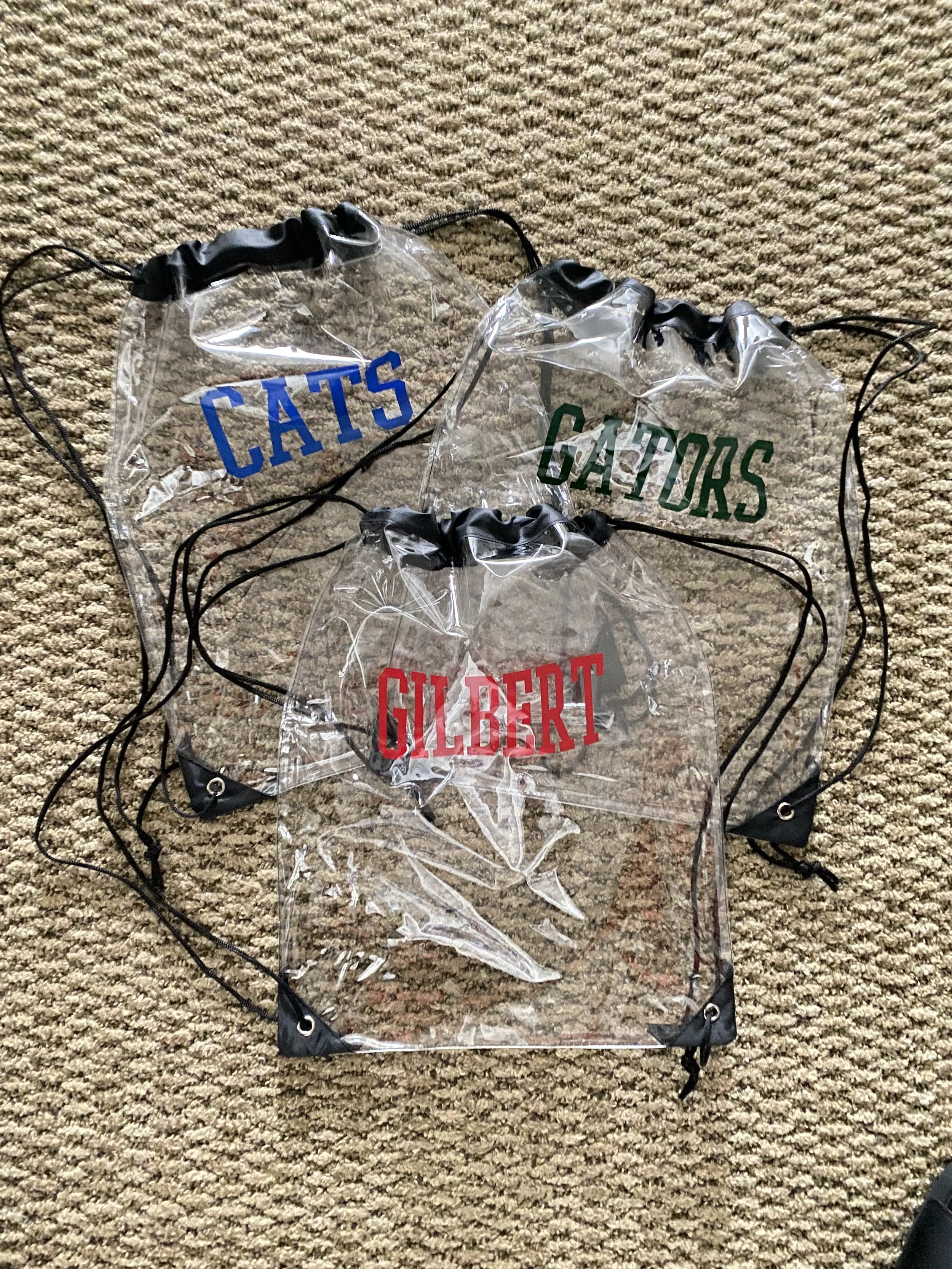 Clear Drawstring Sling Back G R L.jpeg