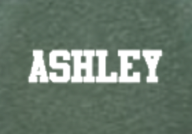 Gator Cheer Negative Heather Green:White BACK.png