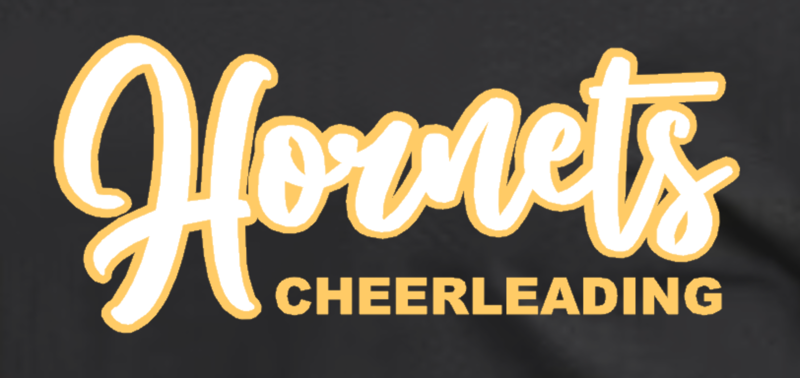 hornets cheerleading matte white.png