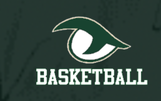 Gator Green Basketball.png