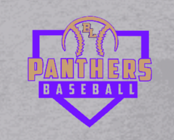 BL Panthers Baseball SS gray  close.png