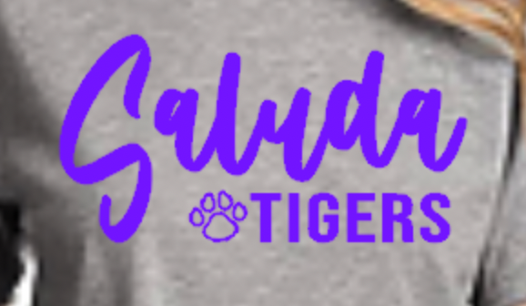 Screen Shot 2023-06-28 at 9.17.26 AM.png