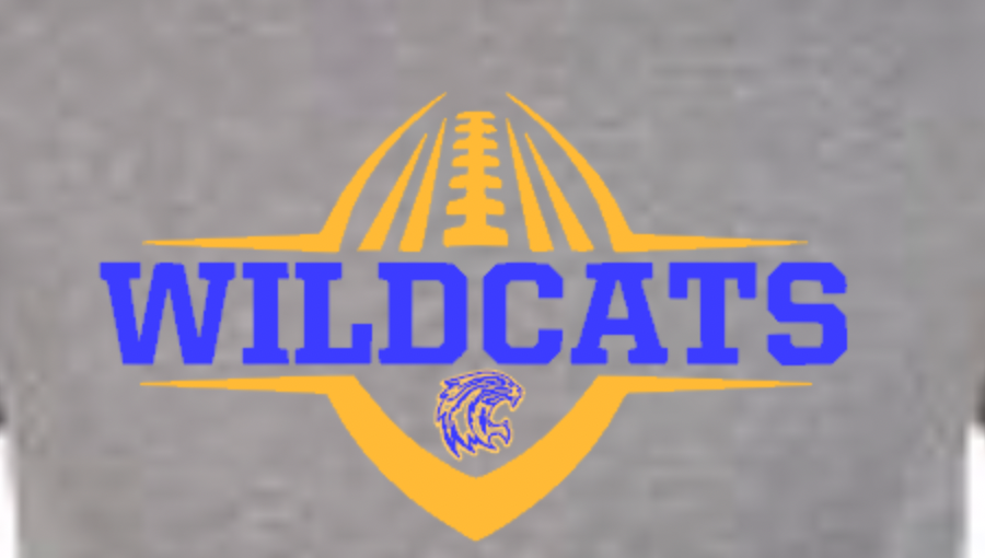 lex youth sports wildcats football gray close.png