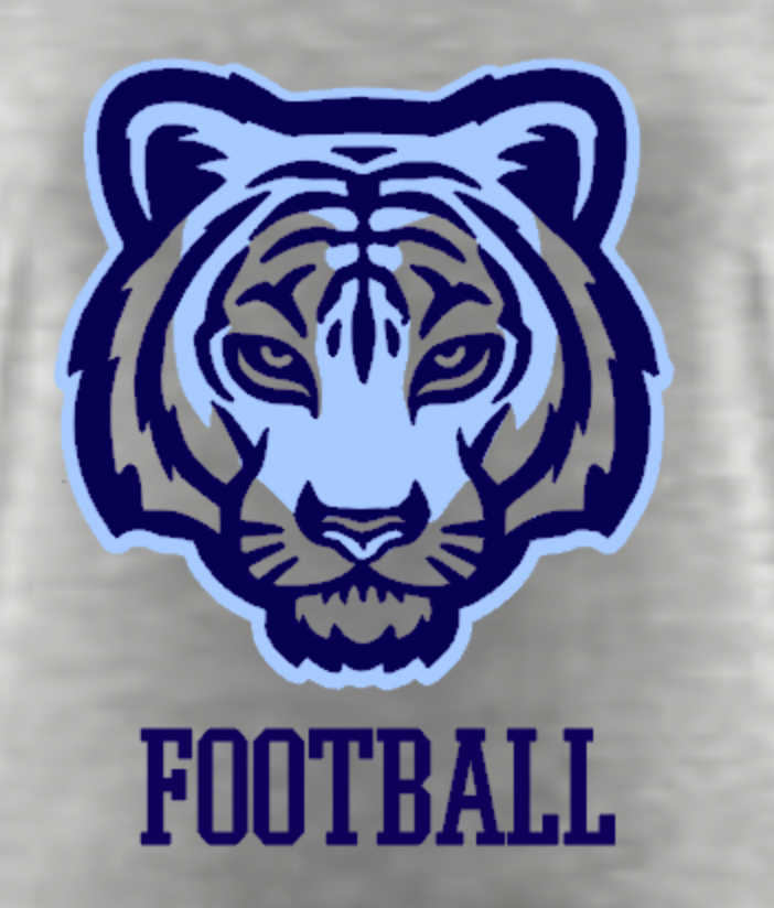 Bengal Football Ladies Dolman Tee Gray close.png