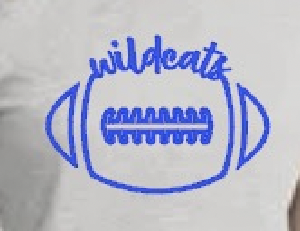 wildcats footbal script ss heatherwhite ladies close.png