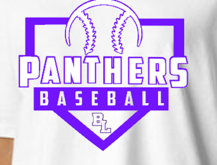 panthers baseball boxy tee close.png