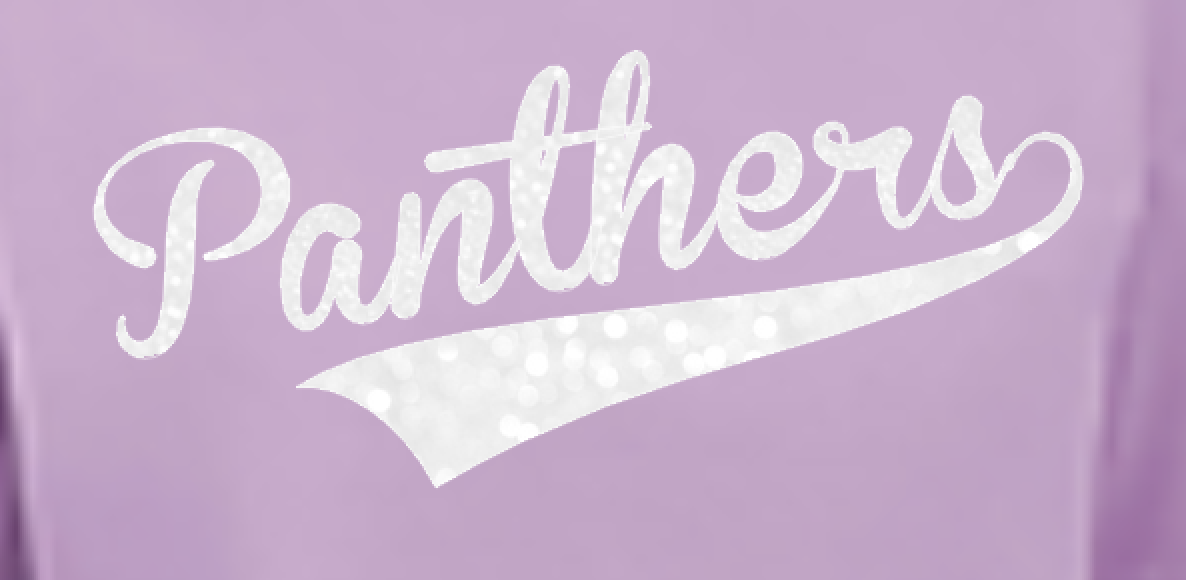 panthers boxy tee close.png