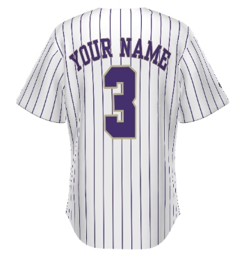 BL Panthers Baseball Jersey back.png