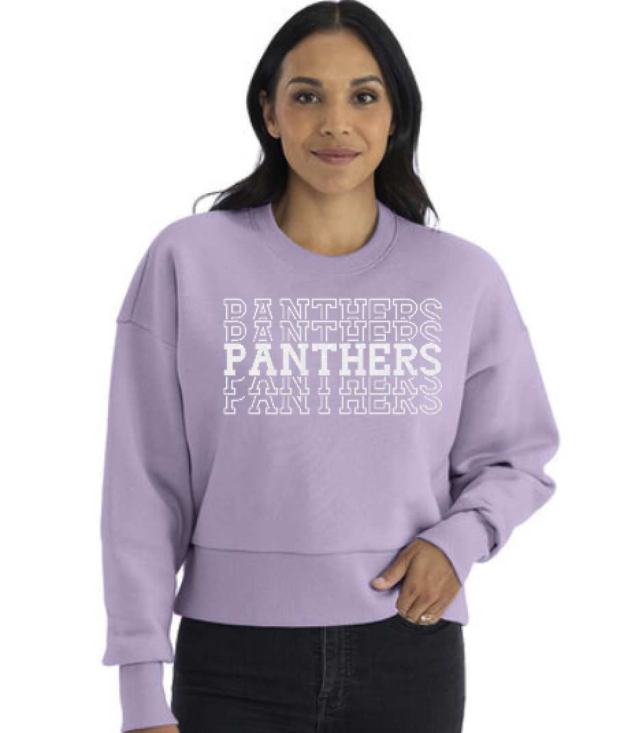 Panthers Lavendar Stacked.png