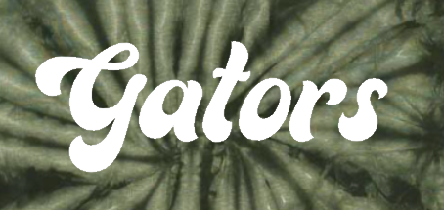 Gators Tie Dye SS close.png