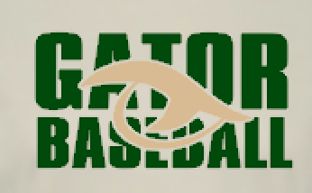 Gator Baseball Mossy Oak Obsession Sublimated Sleeve Tee close.png