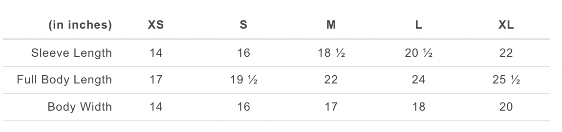 Hanes Eco Youth Sweatshirt.png