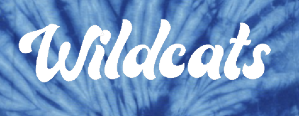 Wildcats Tie Dye SS close.png