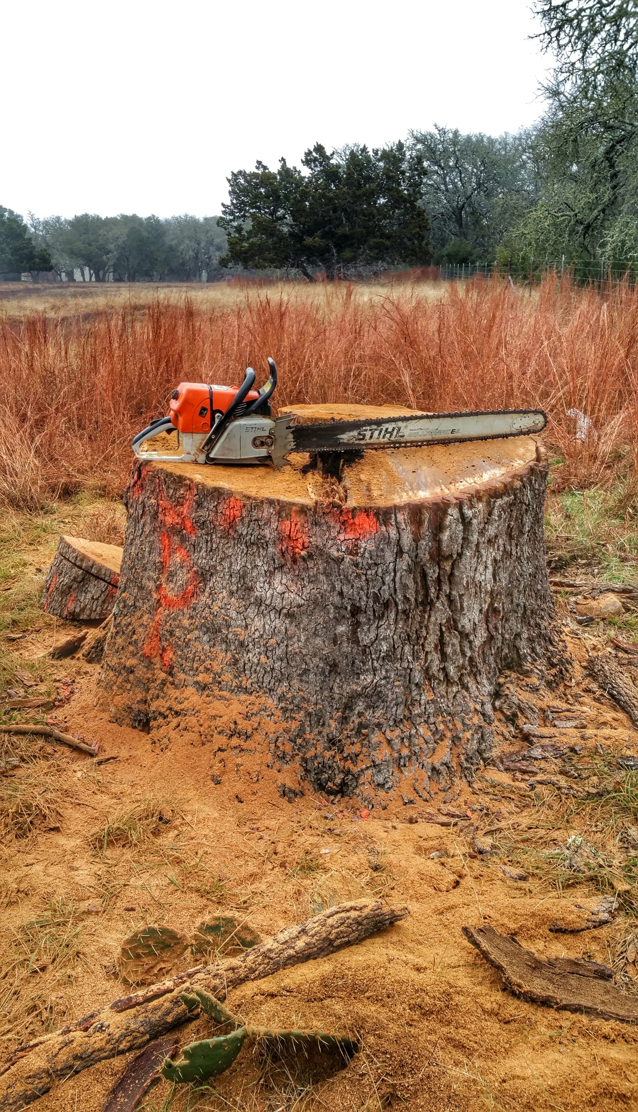 When big trees are involved, people call us. At 76 lbs per cubic foot and 52" in diameter, this Live Oak tree in Fredericksburg, Tx was a fun project for the crew.