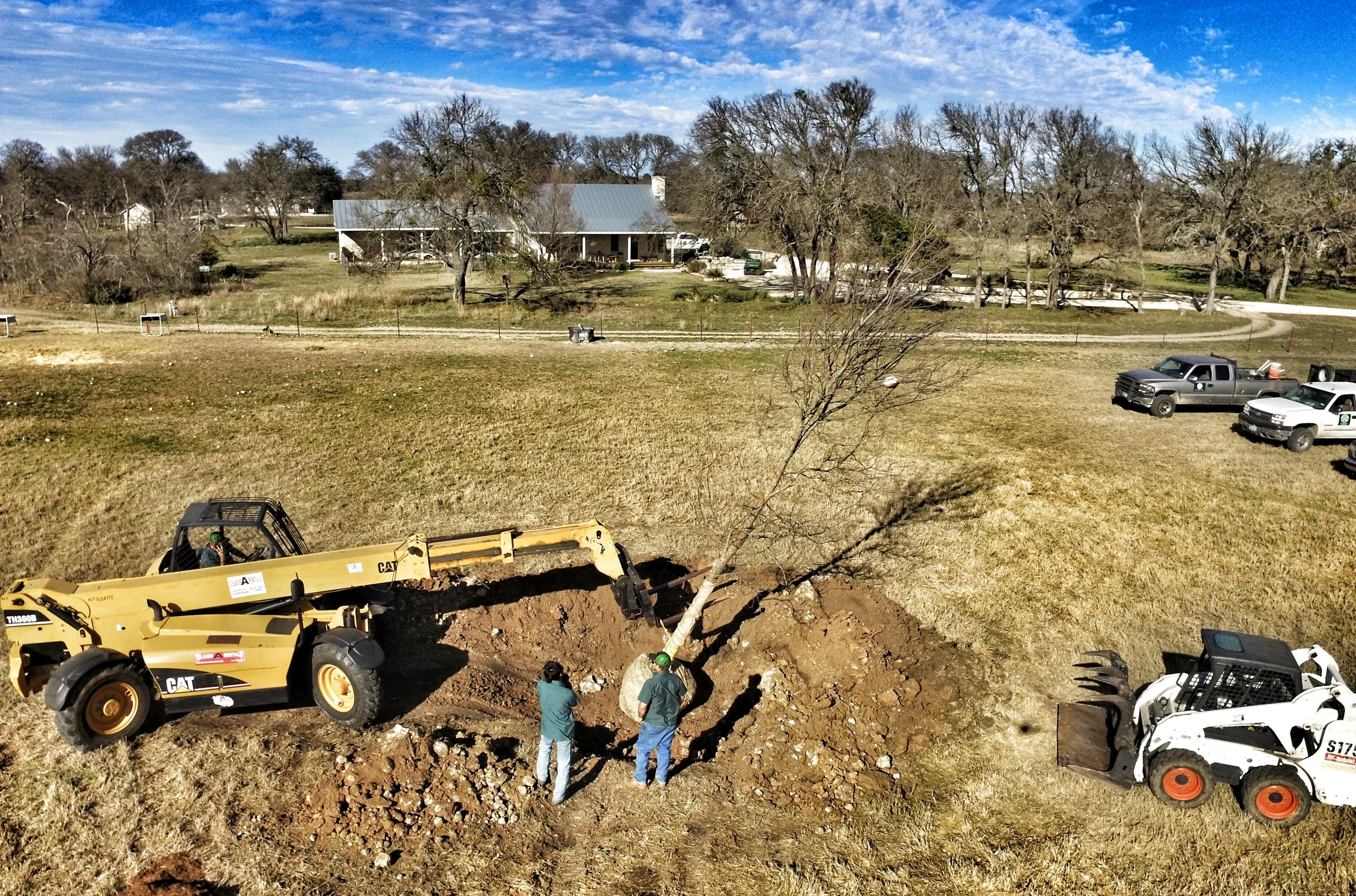 Aerial photo of Superior Arborists planting a 25' tall Cedar Elm tree in Fredericksburg, Tx. The tree (dormant) weighed over 6,000 lbs and was part of a tree planting project for a horse training operation.
