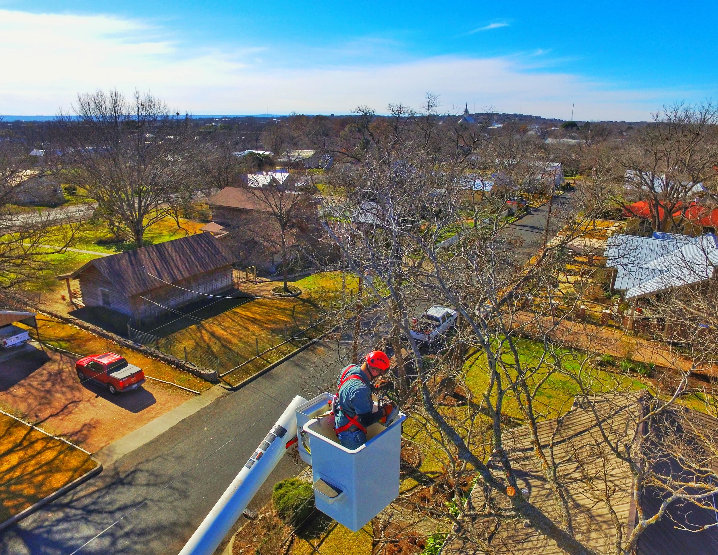 Aerial shot of foreman, Josh Grandstaff, trimming a Pecan tree.